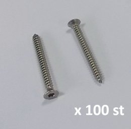 Panda rostfri skruv 100 st, D6