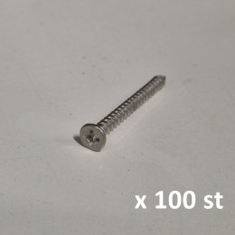 Panda rostfri skruv 100 st, Philips stjärnskruv