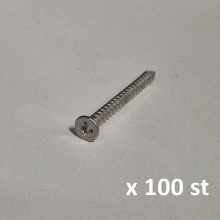Panda rostfri skruv 100 st, Philips stjärnskruv